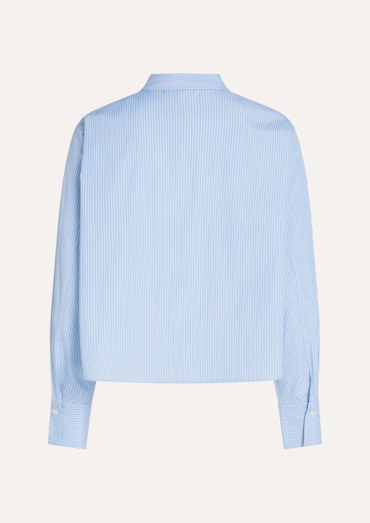  1702 Placid blu