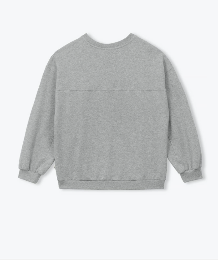  81 Gris chine