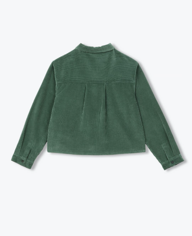  233 Vert